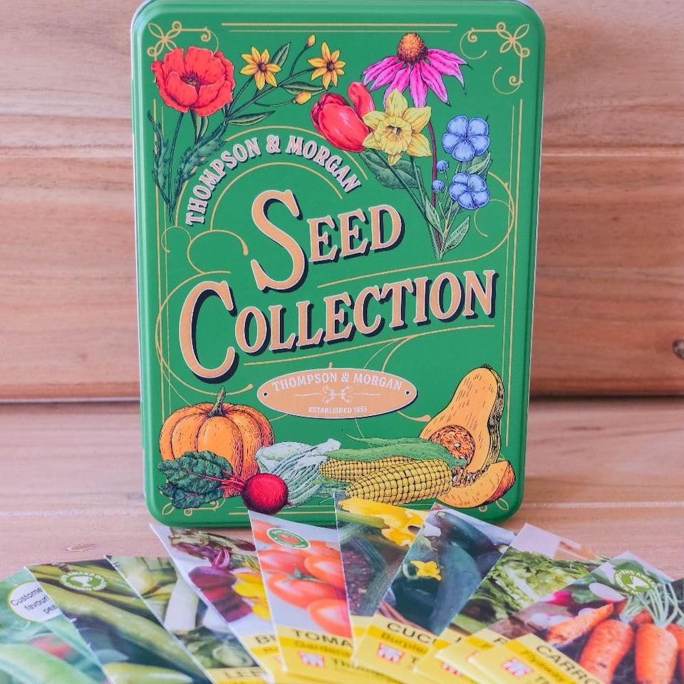 image 1 of Thompson & Morgan Seed Tin - Retro Design Gardeners Gift Stores Seed Packets Safely. 214x157x55mm