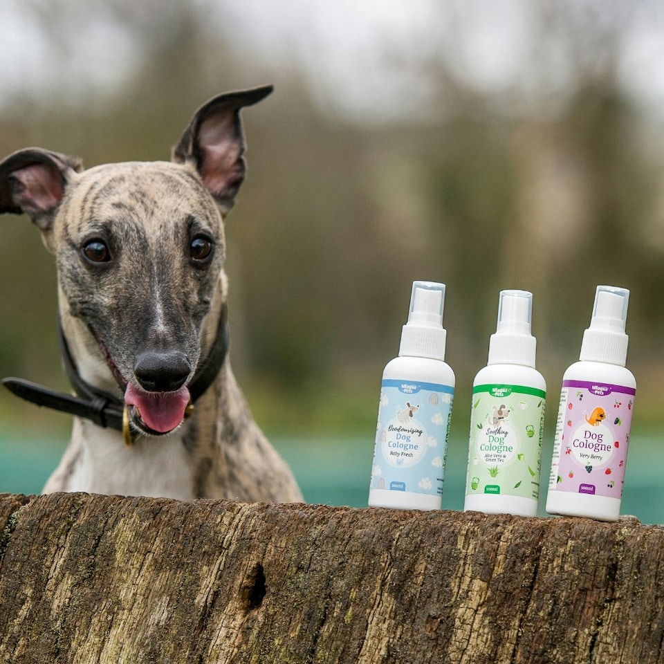 image 1 of Very Berry Dog Cologne 100ml