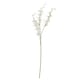 image 1 of Cymbidium Spray (Single Stem Flower) - Plastic - L10 x W24 x H95 cm - White