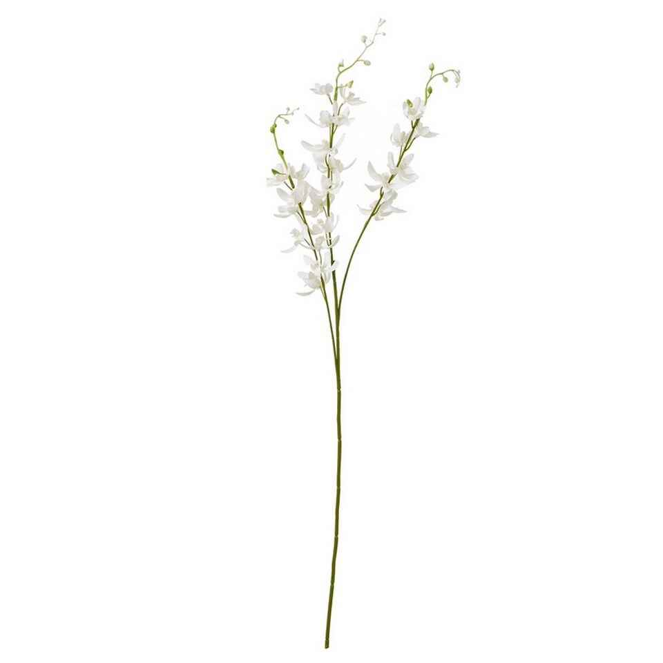 image 1 of Cymbidium Spray (Single Stem Flower) - Plastic - L10 x W24 x H95 cm - White