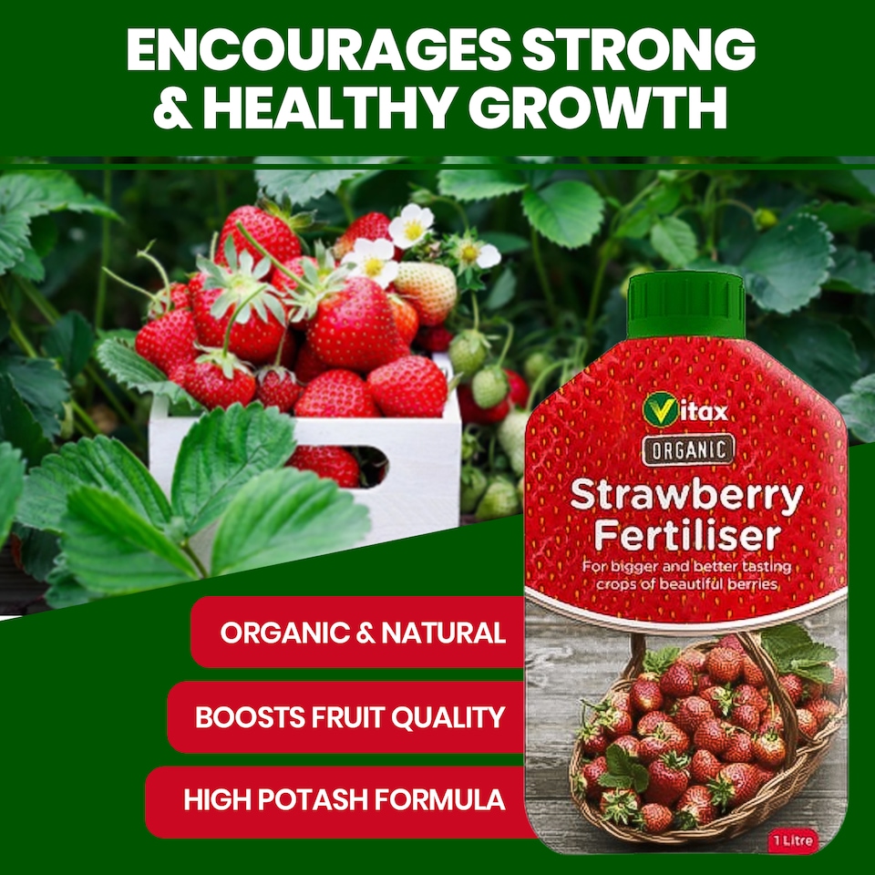 image 1 of Vitax Organic Strawberry Fertiliser 1L Liquid for Rich Flavor Bountiful Strawberries and Prolific Yields