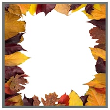 Orange & purple autumn (Picture Frame) Grey | M