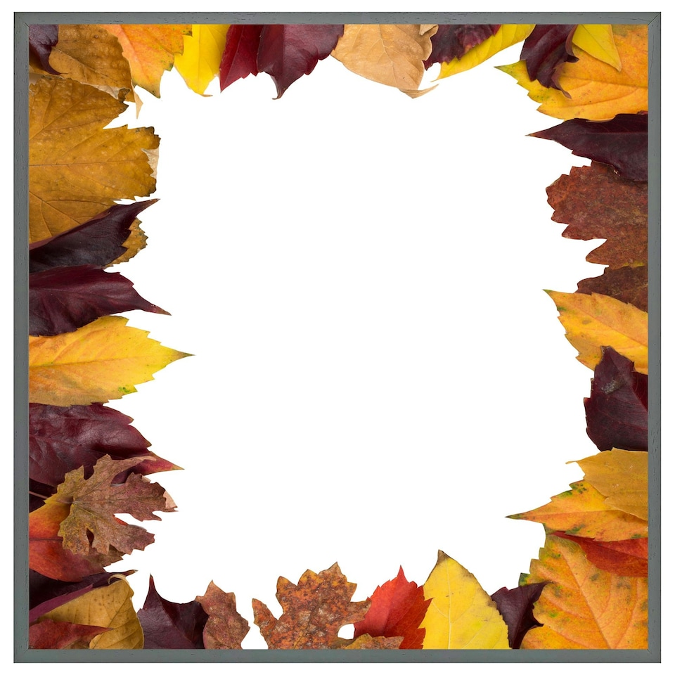 image 1 of Orange & purple autumn (Picture Frame) Grey | M