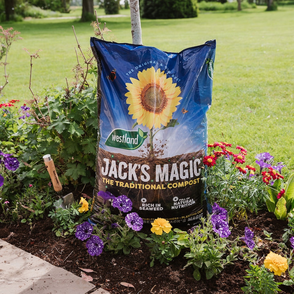 image 1 of Westland Jack's Magic All-Purpose Compost 50L