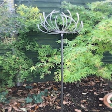 Clematis 5Ft (Pack of 3) - Steel - W15.2 x H151.1 cm - Bare Metal/Ready to Rust