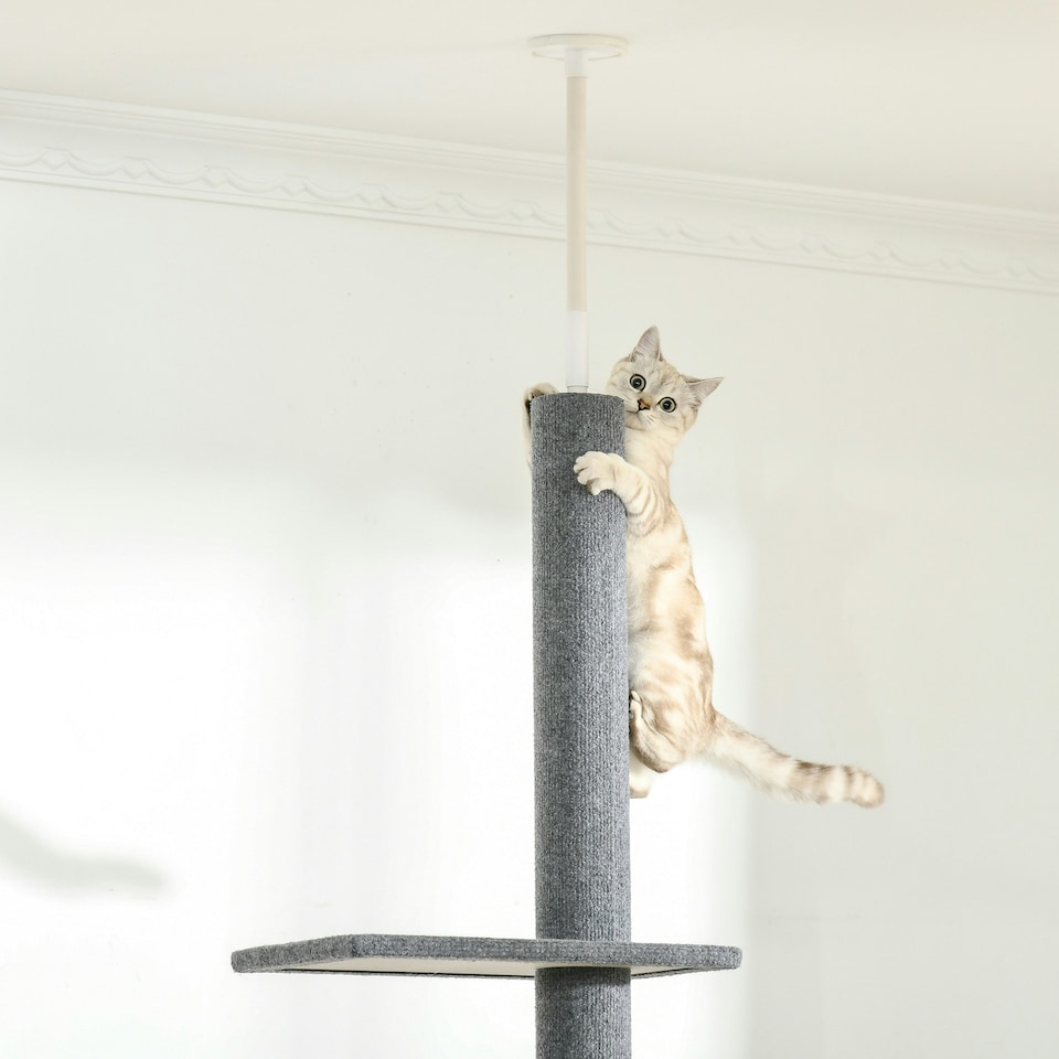 image 1 of PawHut 260cm Cat Tree Floor To Ceiling Adjustable Height, Grey