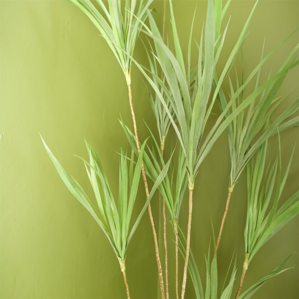 image 1 of Dragon Tree Dracaena Plant 125cm Natural Look Artificial Botanik | Green | 4ft