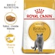 image 1 of Royal Canin Cat British Shorthair Adult 10KG