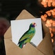 image 3 of Francois Levaillant Art Card Red And Blue Amazon Parrot