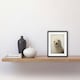 image 2 of Adorable Baby Seal Pup Portrait Cute Animal 9x7" Black Framed Wall Art Print