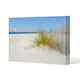 image 1 of dune fence by sea grass with sailboat on horizon (Canvas Print) 31 x 41 x 4cm