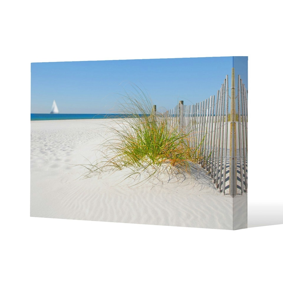 image 1 of dune fence by sea grass with sailboat on horizon (Canvas Print) 31 x 41 x 4cm