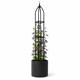 image 2 of Garden Obelisk for Climbing Plants 220cm 7ft - Metal Plant Cage Support Trellis Rose Tower for Flowers, Patio Pots, Shrub, Borders