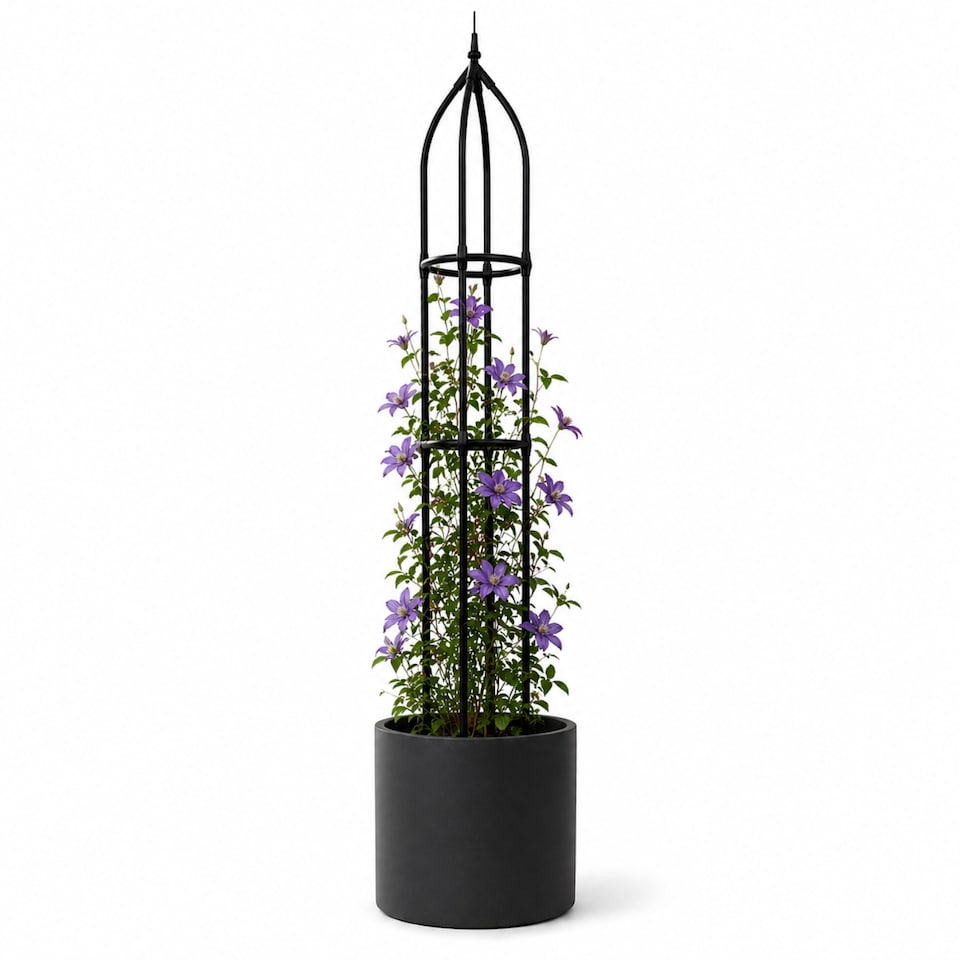 image 1 of Garden Obelisk for Climbing Plants 220cm 7ft - Metal Plant Cage Support Trellis Rose Tower for Flowers, Patio Pots, Shrub, Borders