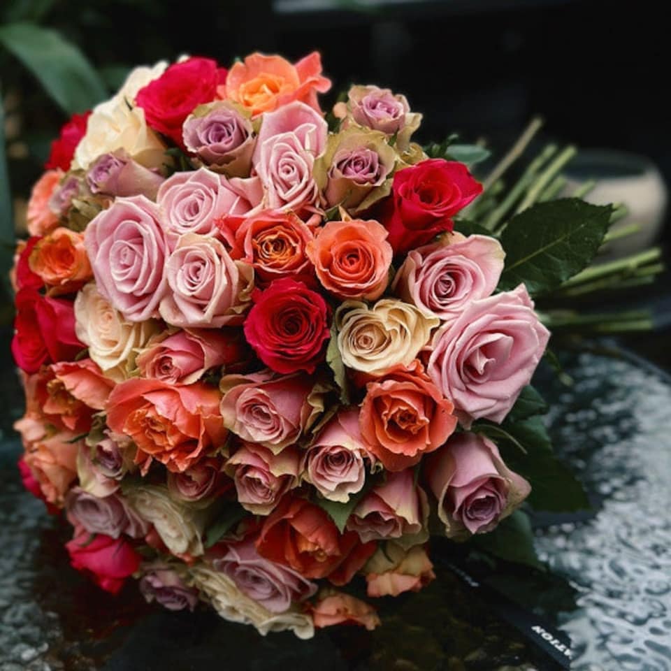 image 1 of Treasured Rose Mix