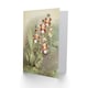 image 2 of Frederick Sander Odontoglossum Harryanum Orchid Art Greeting Card
