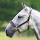 image 2 of Blenheim Leather Travel Horse Headcollar - Havana - Full