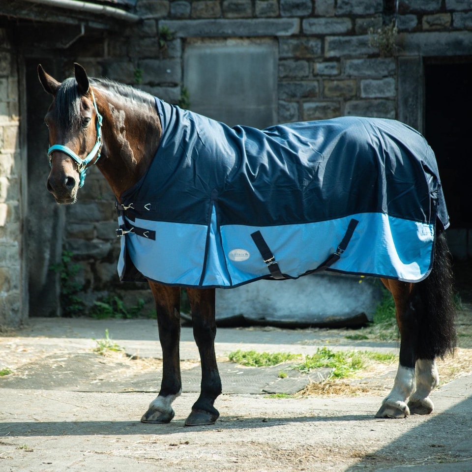image 1 of eQuitack 600D Waterproof Horse Turnout Rug 0g No Fill Half Neck Navy/Baby Blue 5'6''