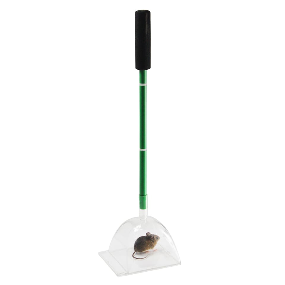 image 1 of Big Bug Katcha - Large Spider & Bug Trap - Green