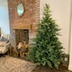 image 1 of Everlands 210cm (7ft) Green Grandis Fir Real Look Christmas Tree 2326 Tips