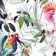 image 4 of Transform Peel & Stick Tropical Floral & Parrot Multicoloured Self-Adhesive Wallpaper Multi | Multi
