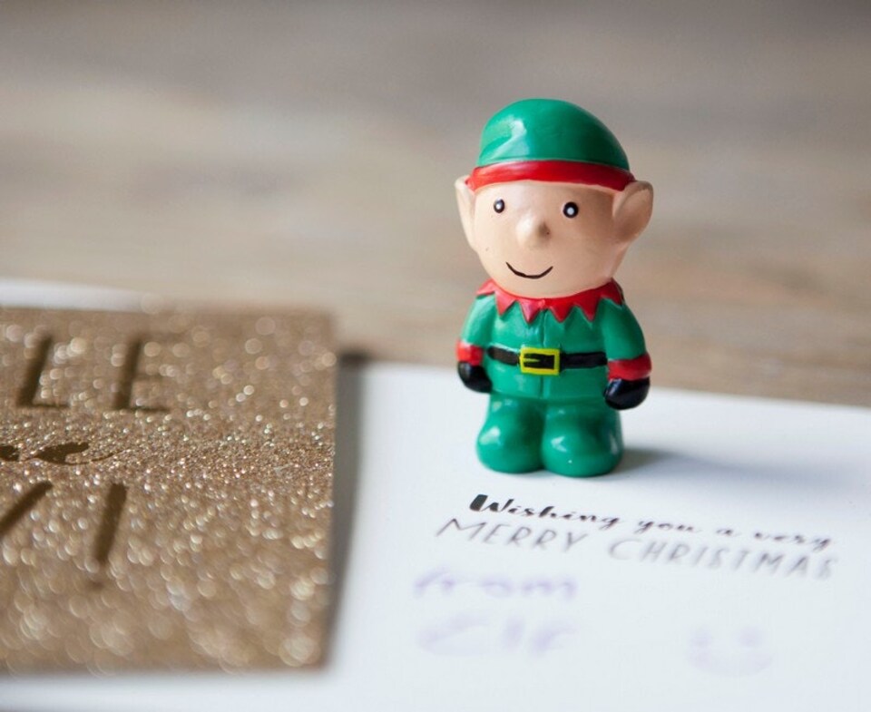 image 1 of Grow A Christmas Elf (12 CDU)