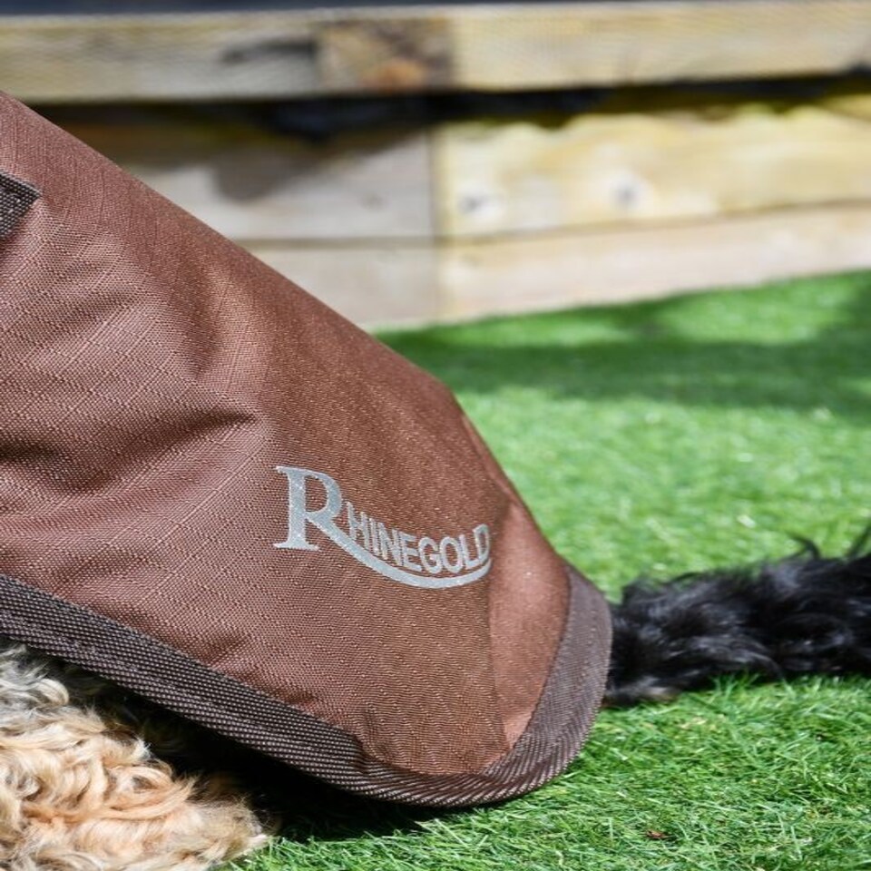 image 1 of Rhinegold Waterproof Dog Coat Brown | XXXL