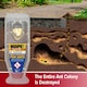 image 6 of NOPE Ant Killer Bait Station ( 1 Box x 3 Pack ) Traps for Indoor & Outdoor. Eradicates Ants and their Colony & Nest