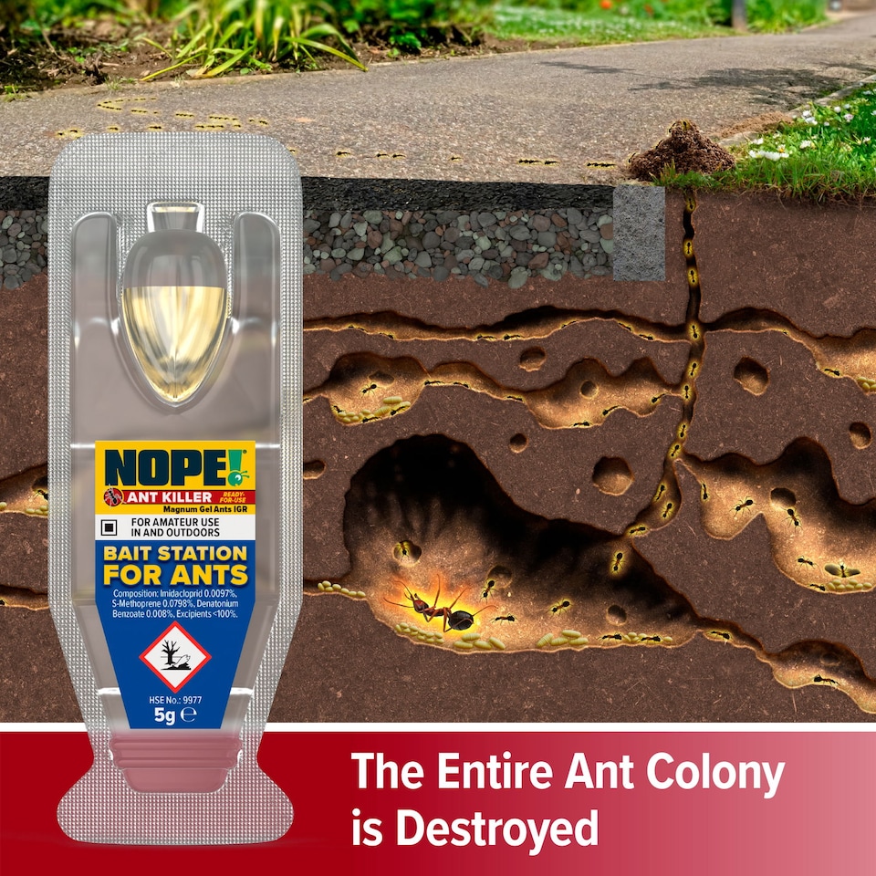 image 1 of NOPE Ant Killer Bait Station ( 1 Box x 3 Pack ) Traps for Indoor & Outdoor. Eradicates Ants and their Colony & Nest