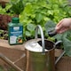 image 4 of Marshalls Garden Liquid Seaweed Feed 1 Litre