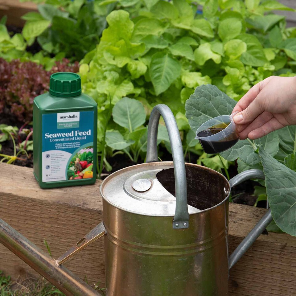 image 1 of Marshalls Garden Liquid Seaweed Feed 1 Litre