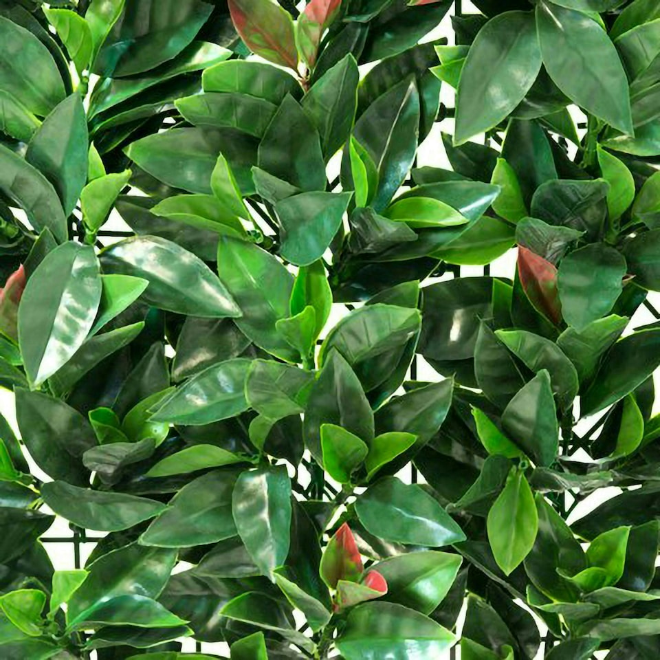 image 1 of Primrose American Beech Artificial Patio Hedge Panels 50cm x 50cm Set of 16