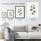 image 3 of Lantana Plant Botanical Redoute Vintage Huge Wall Art Print 18X24 In