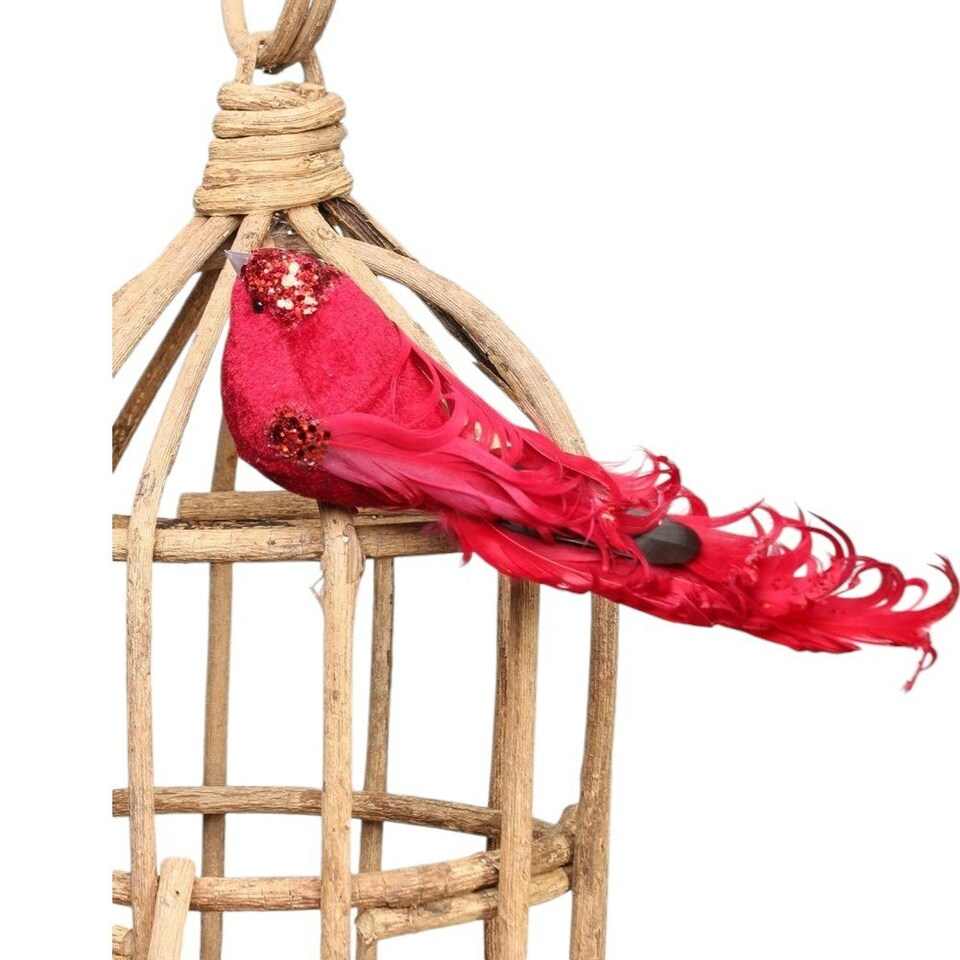 image 1 of Decorative Red Showfeather Bird With Clip