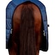 image 2 of Weatherbeeta Standard-Neck 200g Horse Under Rug | Blue | Navy | 6Ft | 1