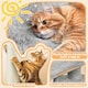 image 5 of Yaheetech 86.5 cm Plush Cover Cat Tree with Condo Light Grey