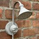 image 4 of Shower Head Bird Bath or Feeder all metal garden bird lover gift