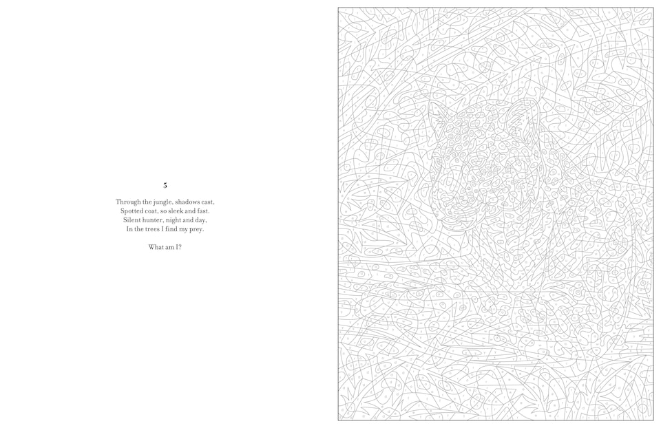 image 1 of Mystery Colouring - Wild Animals Book