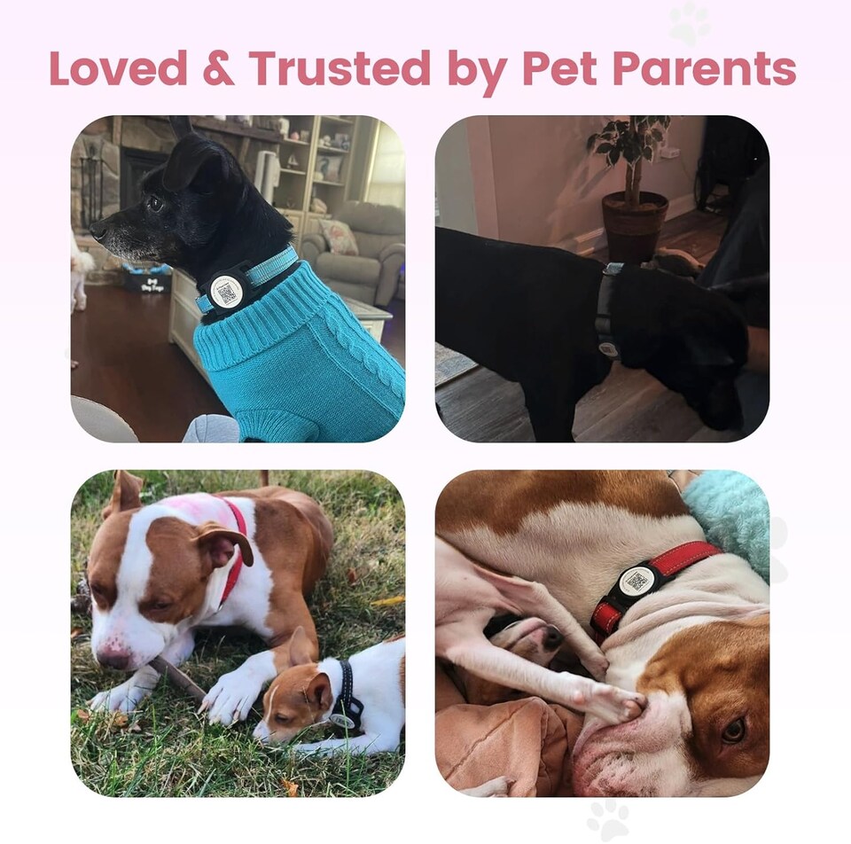 image 1 of AirTag Dog Collar Holder & Free App Pet Tracker Smart QR ID