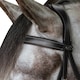 image 2 of John Whitaker Pick N Mix Leather Flat Horse Browband - Black - Cob