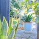image 5 of Nicola Spring Hand-Printed Plant Pot with Saucer - 20.5cm - Blue Multi