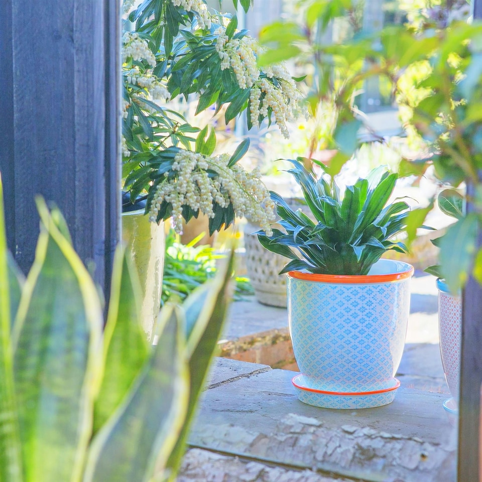 image 1 of Nicola Spring Hand-Printed Plant Pot with Saucer - 20.5cm - Blue Multi
