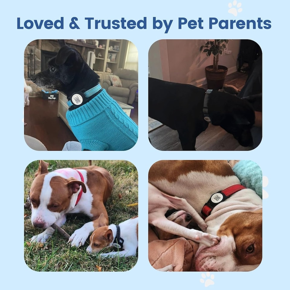 image 1 of AirTag Dog Collar Holder & Free App Pet Tracker Smart QR ID