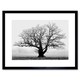 image 1 of Old Oak Tree Black White Mist Fog Photo 12x16" Framed Wall Art Print