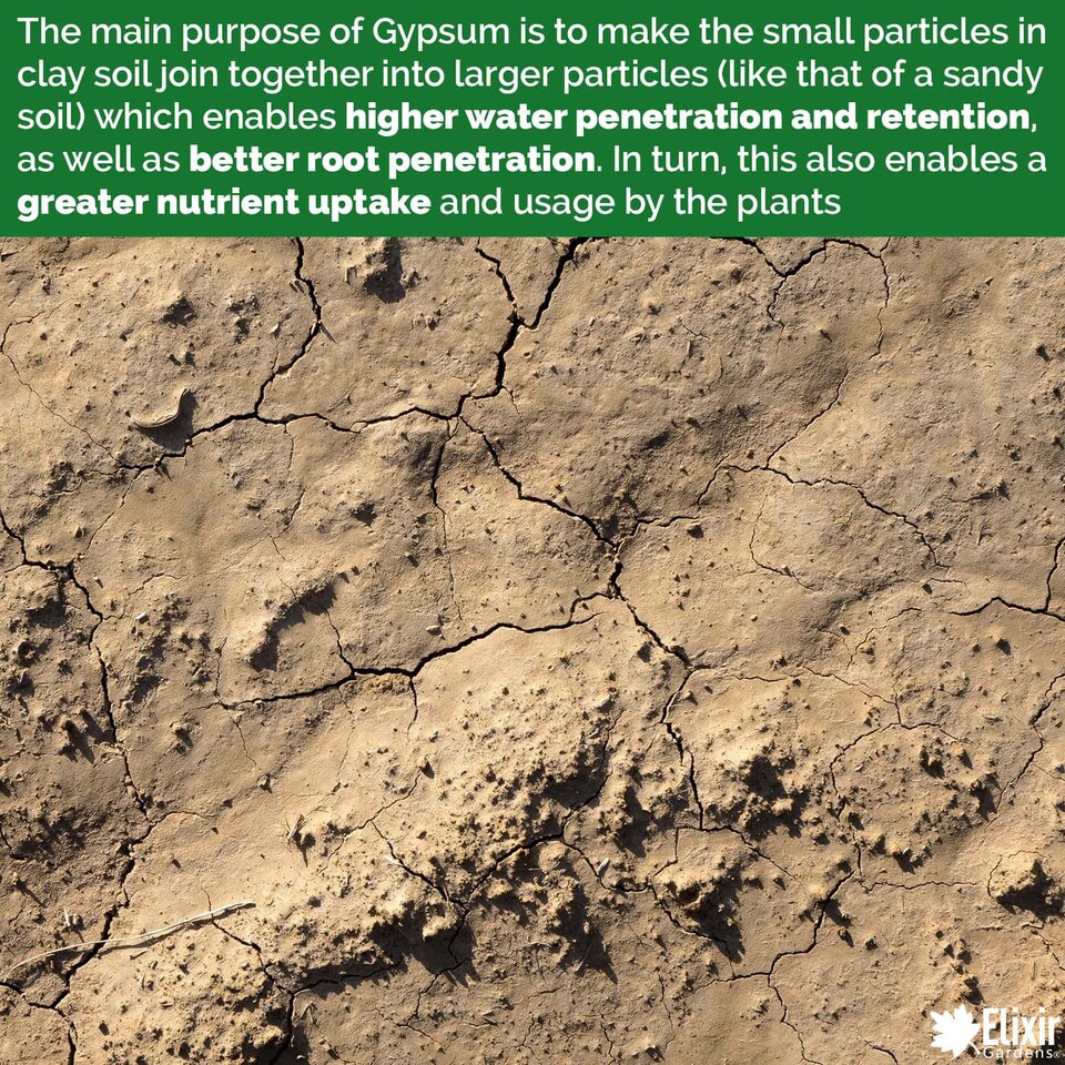 image 1 of Elixir Gardens Gypsum Fertiliser Calcium Sulphate x10kg Bag