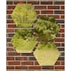 image 1 of Primrose Set of 4 Small Hexagonal Gold Garden Mirrors 11in