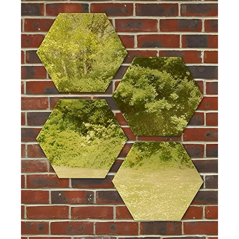 image 1 of Primrose Set of 4 Small Hexagonal Gold Garden Mirrors 11in