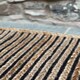 image 2 of CHAKKAR DARK Stripe Rectangular Braided Beige Black Rug - Jute - L75 x W120 - Beige/Black Brown