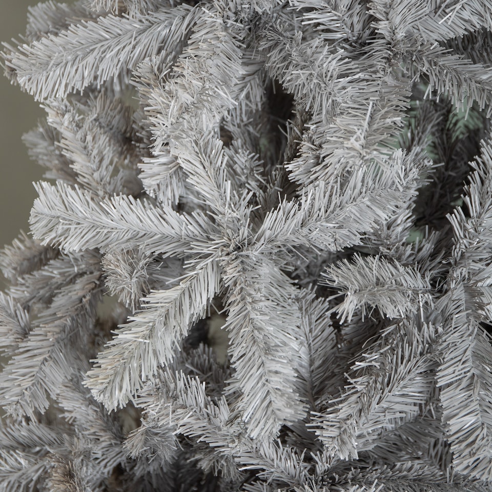 image 1 of 6ft (180cm) Colorado Grey Spruce Christmas Tree with Wrapped Branches & 483 Tips