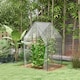 image 2 of Outsunny Tomato Greenhouse with 2 Zipped Doors, Outdoor Green House, Clear